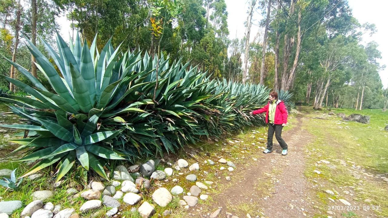 Pousada Villa Huaripampa Jauja Buitenkant foto