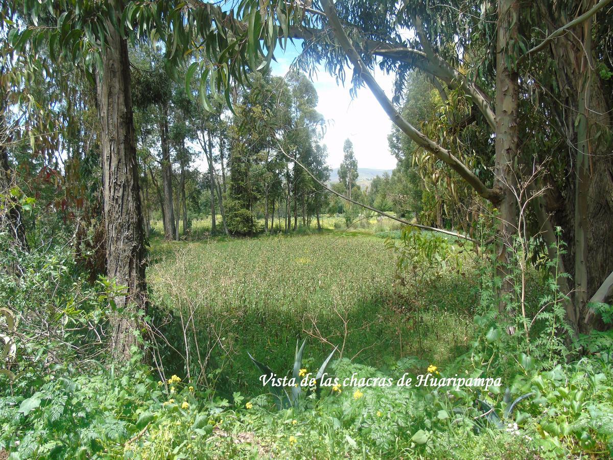 Pousada Villa Huaripampa Jauja Buitenkant foto