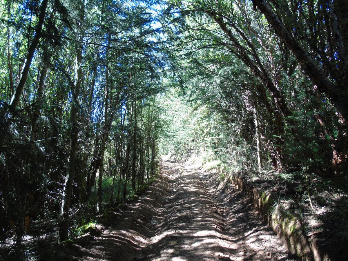 Pousada Villa Huaripampa Jauja Buitenkant foto
